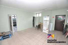 Lokal do wynajęcia w centrum